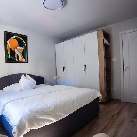 Apartament 209 ألبا يوليا المظهر الخارجي الصورة