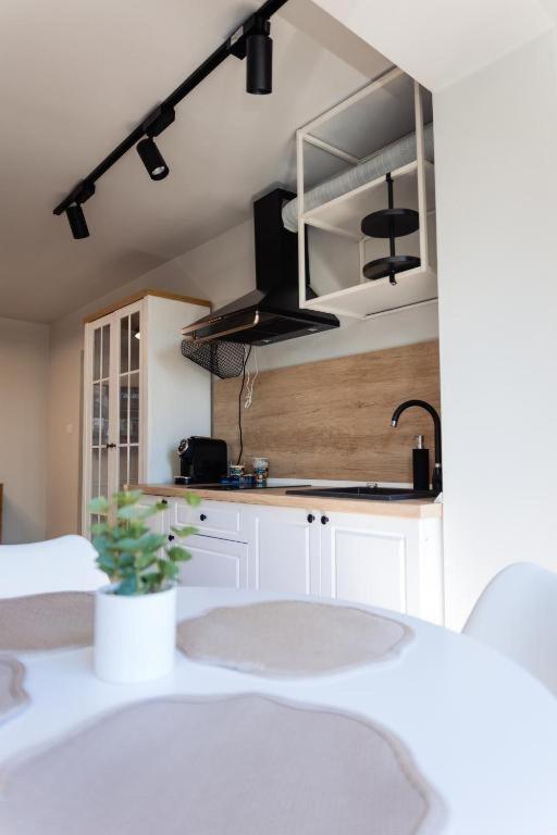 Apartament 209 ألبا يوليا المظهر الخارجي الصورة